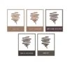 Anastasia Beverly Hills Laminated Brow Kit